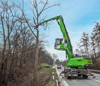 Fällbagger von SENNEBOGEN bei Fällarbeiten neben einer Straßen